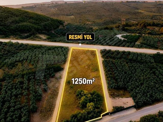 Akçapınar, Mustafakemalpaşa içerisinde satılık Arsa