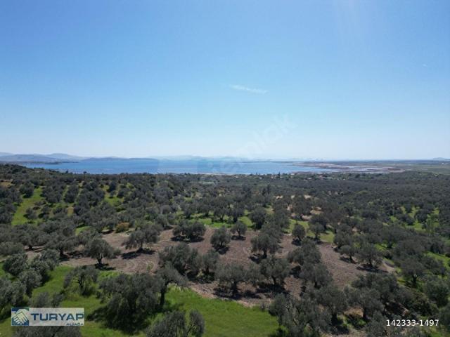 Bergama, İzmir içerisinde satılık mülk