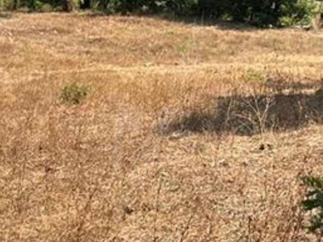 Güngören, Anamur içerisinde satılık Arsa
