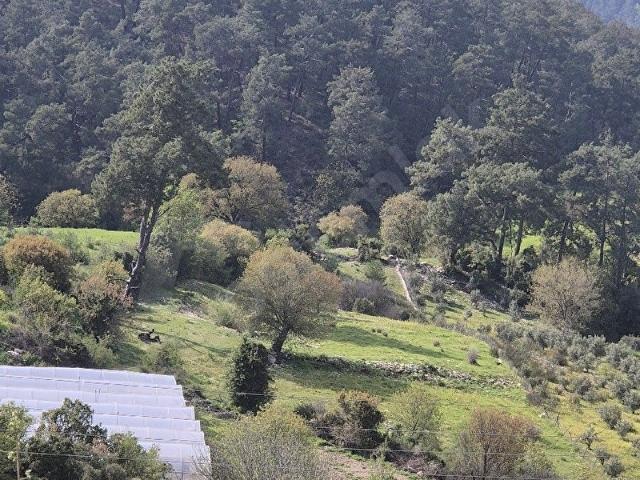 Kumluca, Antalya içerisinde satılık Arsa