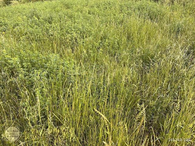 Kaynarca, Pınarhisar içerisinde satılık Arsa