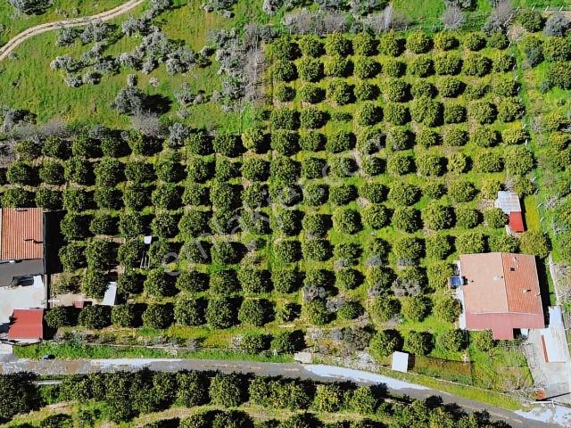 Sultanhisar, Aydin içerisinde satılık Villa