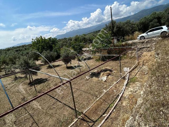 Bozdoğan, Aydin içerisinde satılık Villa
