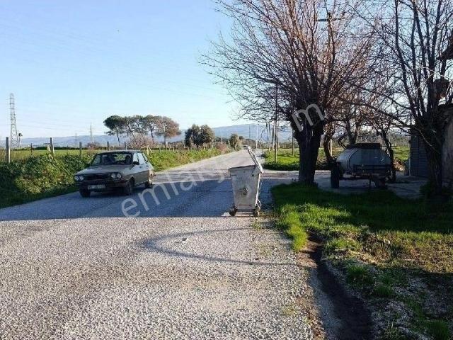 Germencik, Aydin içerisinde satılık Fabrika