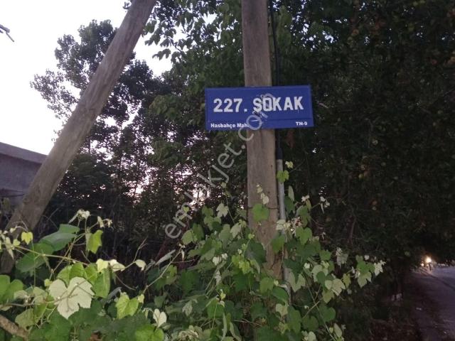 Çarşamba, Samsun içerisinde satılık Villa