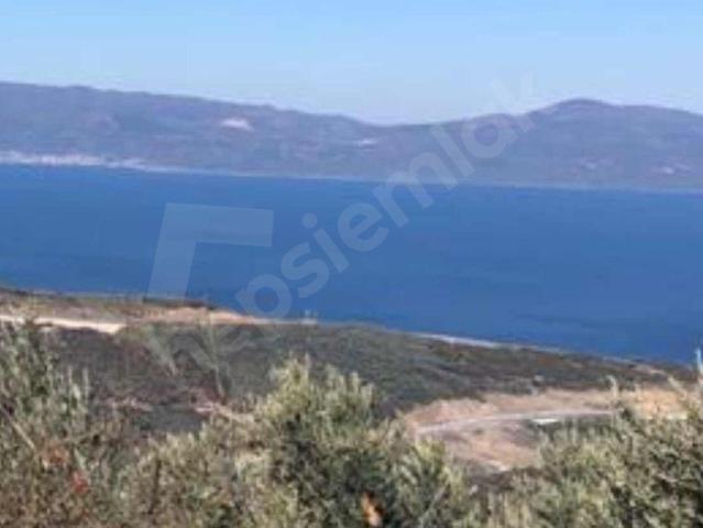 Derbent, İznik içerisinde satılık mülk