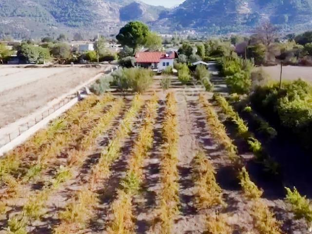 Yeşilüzümlü, Fethiye içerisinde satılık Villa