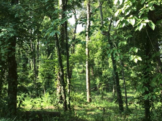 House for sale in Gilmer, Upshur County