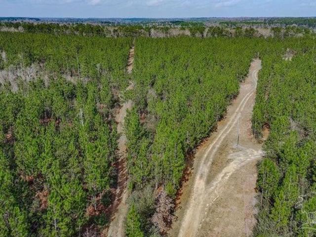 Land for sale in Milton, Florida