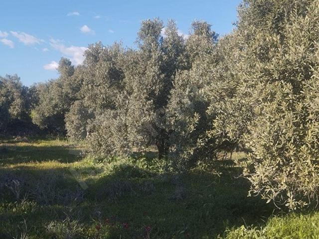 Mut, Mersin içerisinde satılık Arsa