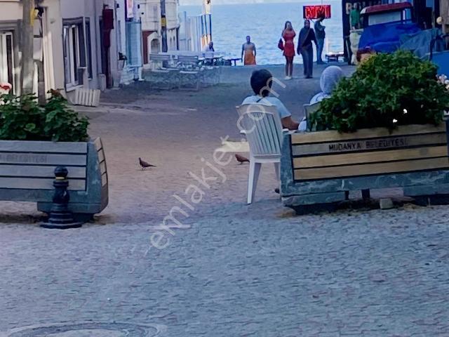 Mudanya, Bursa içerisinde kiralık mülk