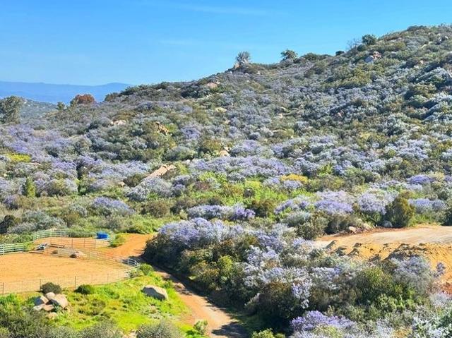 Land for sale in Lakeside, California