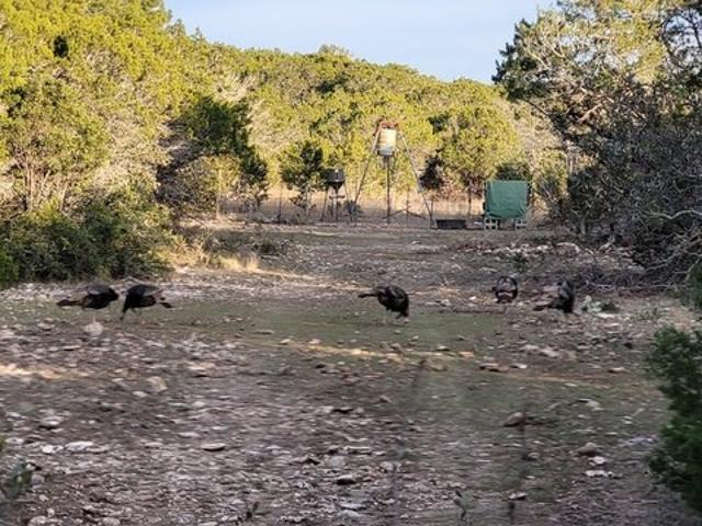 Land for sale in Kinney, Texas