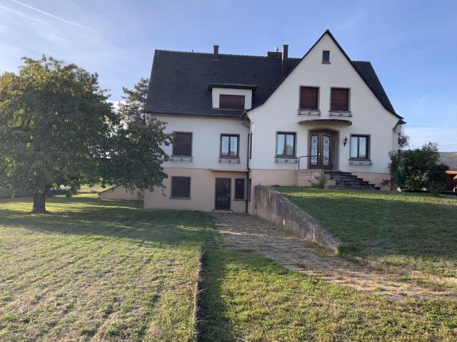 Maison vente à Muttersholtz, Collectivité européenne d'Alsace