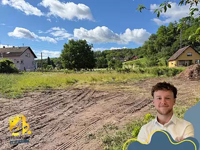 Terrain vente à Mutzig, Collectivité européenne d'Alsace