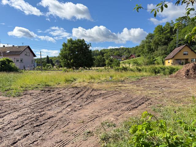 Terrain vente à Molsheim, Mutzig