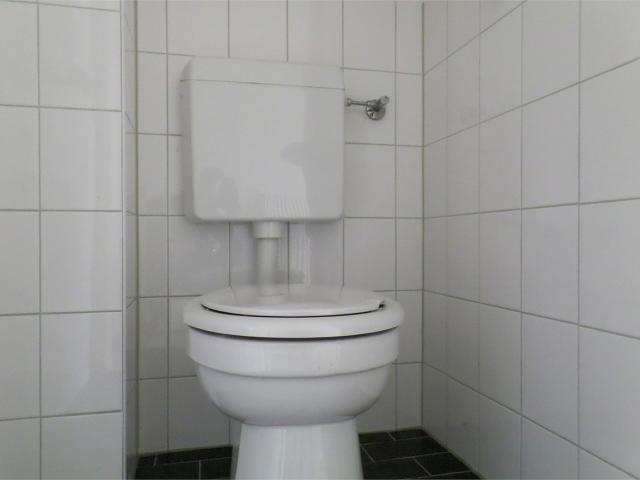 Appartement te huur in Emmen