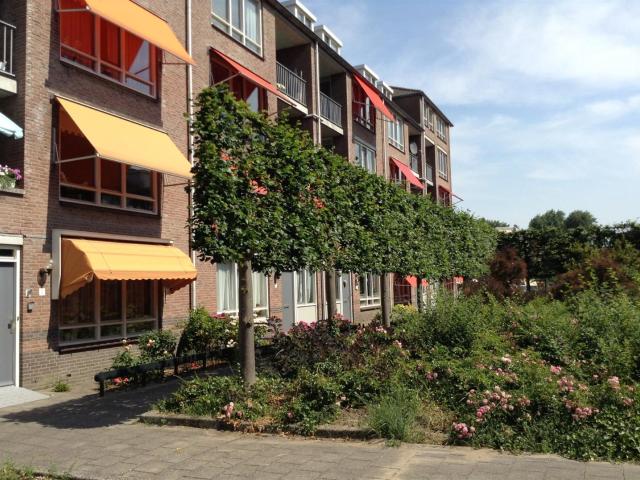 Appartement te huur in Heemskerk, Noord Holland