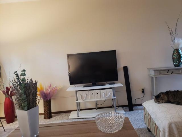 Room for rent in Coon Rapids, Minnesota
