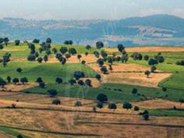 Kalecik, Ankara içerisinde satılık Arsa