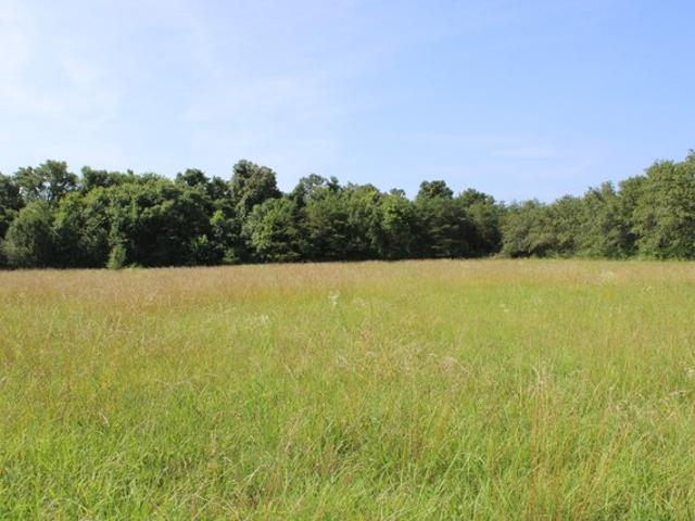 Land for sale in Tennessee