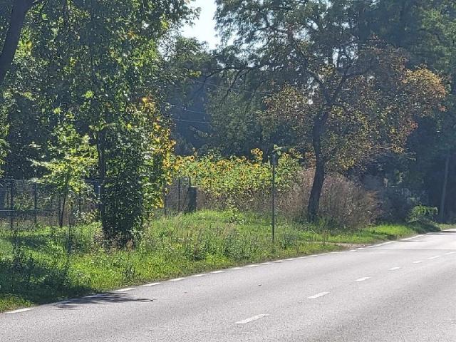Grunt na sprzedaż w Mykanów, Śląskie