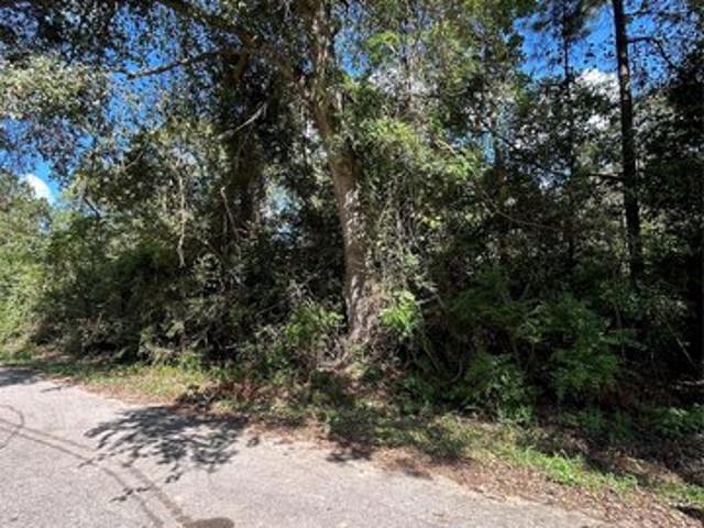 Land for sale in Shepherd, Texas