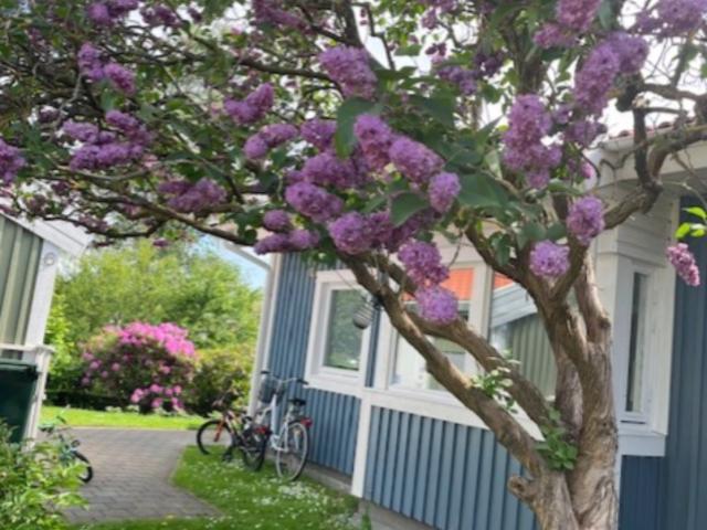 Hus hyra i Göteborg, Västra Götaland