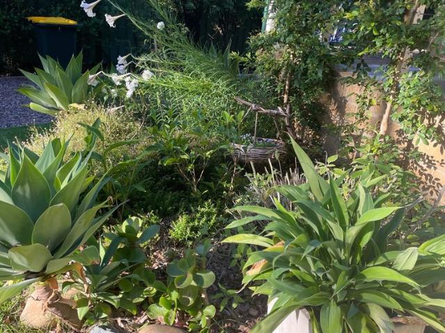Room for rent in Australian Capital Territory