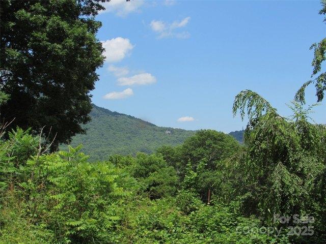 Land for sale in Black Mountain, North Carolina