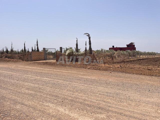 Propriété vente à El Gara, Gharb-Chrarda-Beni Hssen