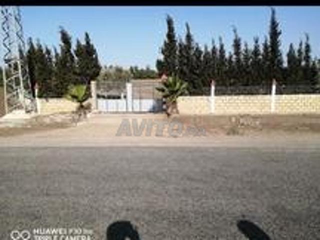 Propriété vente à Derb Omar, Settat