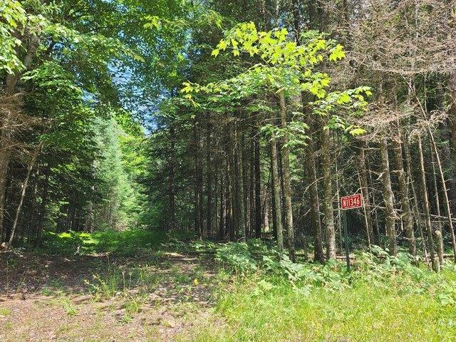 Land for sale in Phillips, Wisconsin