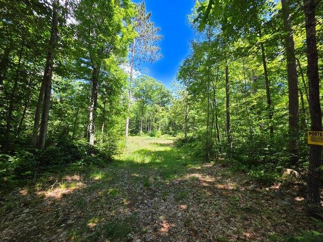 Land for sale in Tomahawk, Wisconsin
