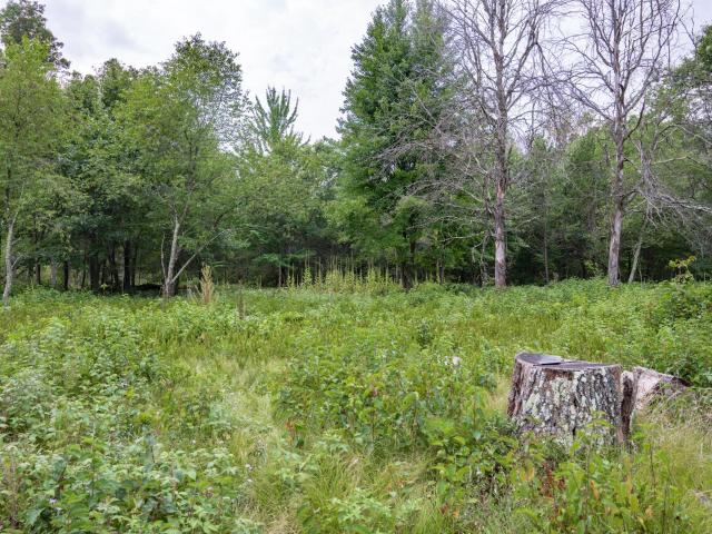 Land for sale in Juneau, Wisconsin