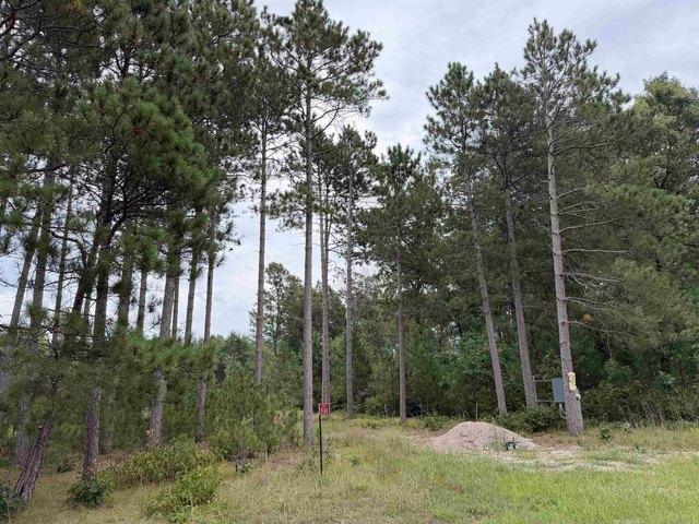 Land for sale in Juneau, Wisconsin