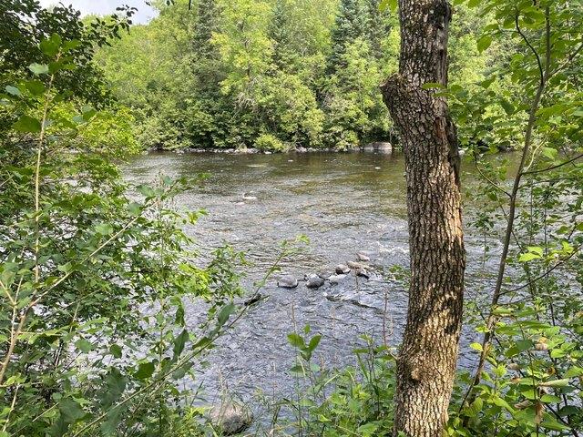 Land for sale in Fifield, Wisconsin