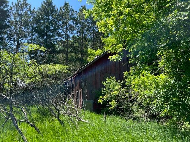 Land for sale in Amberg, Wisconsin