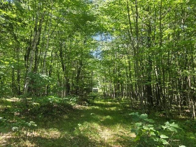 Land for sale in Amberg, Wisconsin