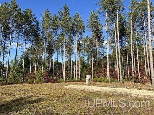 Land for sale in Pembine, Town of Pembine