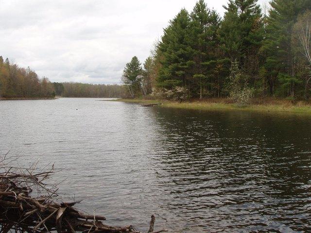 Land for sale in Park Falls, Wisconsin