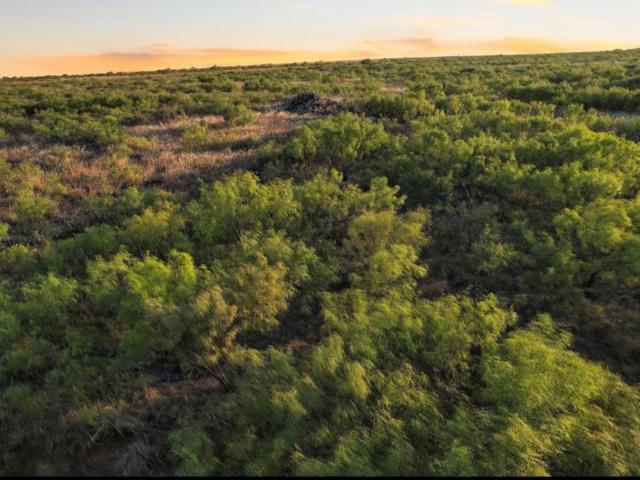 Land for sale in Harmon, Oklahoma