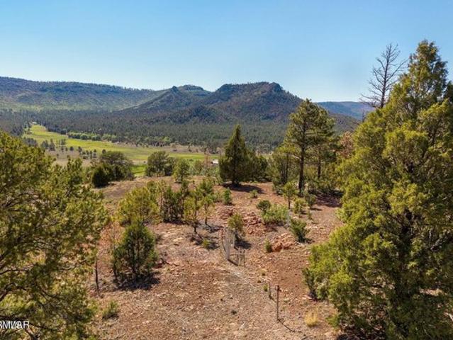 Land for sale in Nutrioso, Arizona