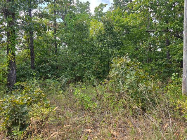 Land for sale in Ark