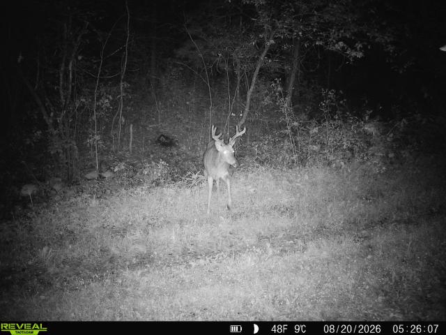 Land for sale in Wisconsin