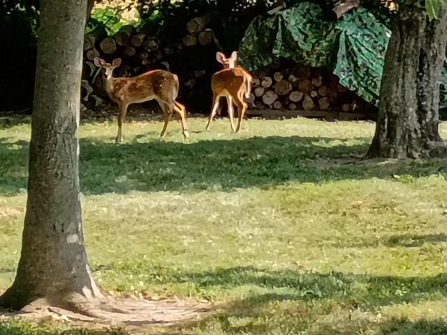 Land for sale in Wisconsin