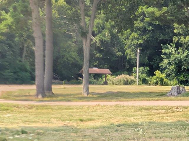 Land for sale in New London, Wisconsin