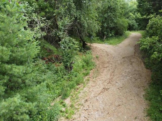Land for sale in Juneau, Wisconsin