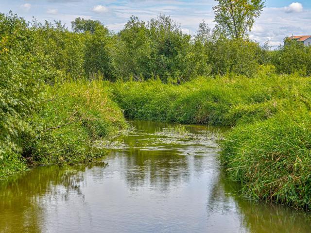 Land for sale in Dunn, Wisconsin