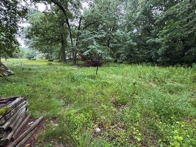 Land for sale in Wild Rose, Wisconsin